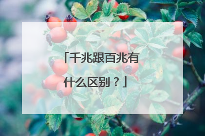 千兆跟百兆有什么区别？