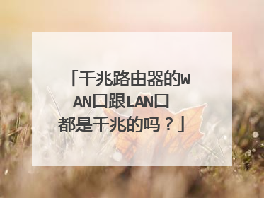 千兆路由器的WAN口跟LAN口都是千兆的吗？