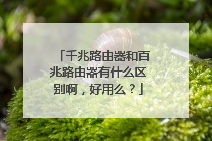 千兆路由器和百兆路由器有什么区别啊，好用么？