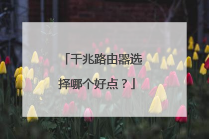 千兆路由器选择哪个好点？