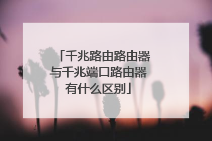 千兆路由路由器与千兆端口路由器有什么区别