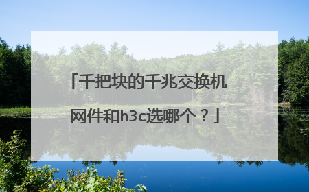 千把块的千兆交换机 网件和h3c选哪个?