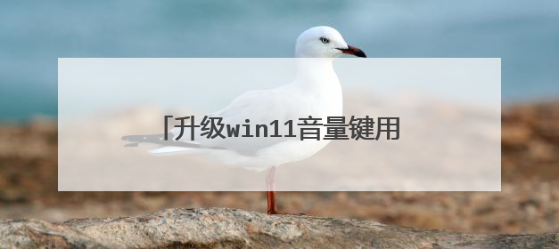 升级win11音量键用不了，按键不起作用？