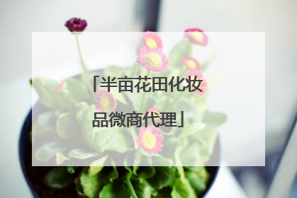 半亩花田化妆品微商代理