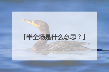 半全场是什么意思？