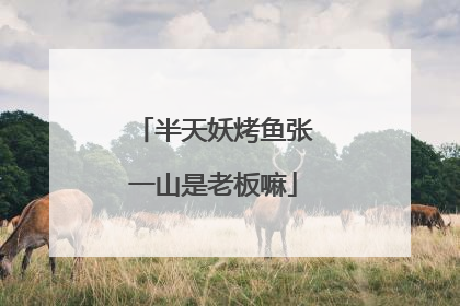 半天妖烤鱼张一山是老板嘛