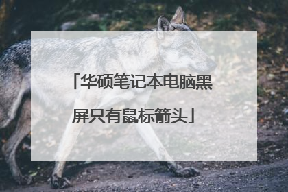 华硕笔记本电脑黑屏只有鼠标箭头