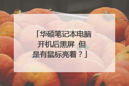 华硕笔记本电脑 开机后黑屏 但是有鼠标亮着?