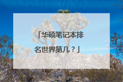 华硕笔记本排名世界第几?