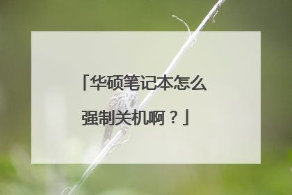 华硕笔记本怎么强制关机啊?