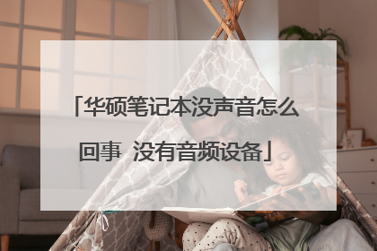 华硕笔记本没声音怎么回事 没有音频设备
