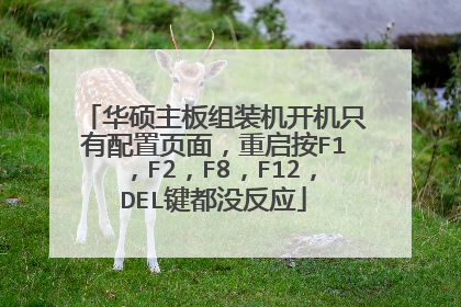 华硕主板组装机开机只有配置页面，重启按F1，F2，F8，F12，DEL键都没反应