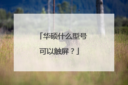 华硕什么型号可以触屏?