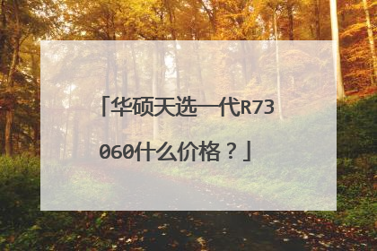 华硕天选一代R73060什么价格？
