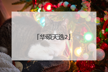 华硕天选2