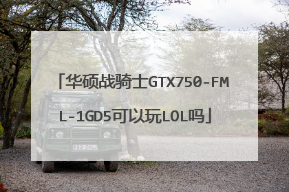 华硕战骑士GTX750-FML-1GD5可以玩LOL吗
