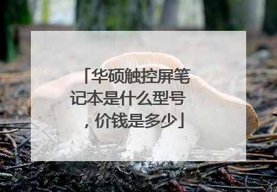 华硕触控屏笔记本是什么型号，价钱是多少