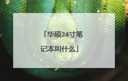 华硕24寸笔记本叫什么