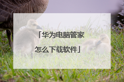 华为电脑管家怎么下载软件