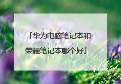 华为电脑笔记本和荣耀笔记本哪个好