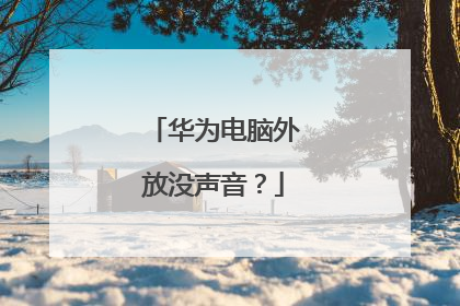 华为电脑外放没声音?