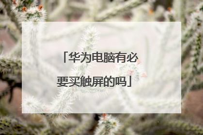 华为电脑有必要买触屏的吗