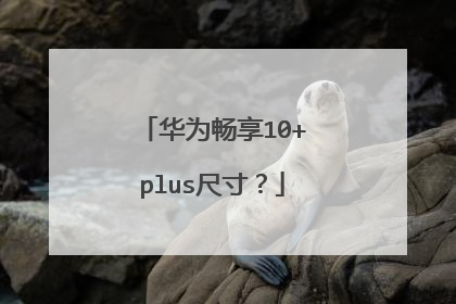 华为畅享10+plus尺寸?