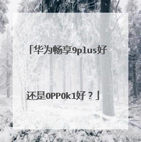 华为畅享9plus好还是OPPOk1好?