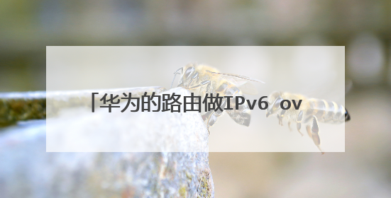华为的路由做IPv6 over IPv4隧道在模拟器上一直PING不通IPV6