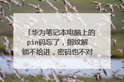 华为笔记本电脑上的pin码忘了,指纹解锁不给进,密码也不对,要怎么办?