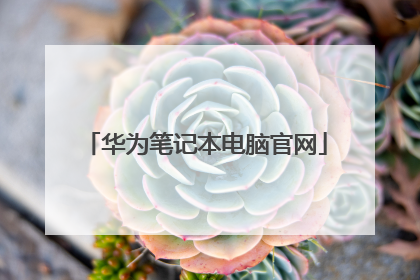 华为笔记本电脑官网