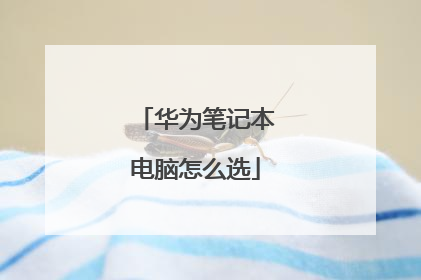 华为笔记本电脑怎么选