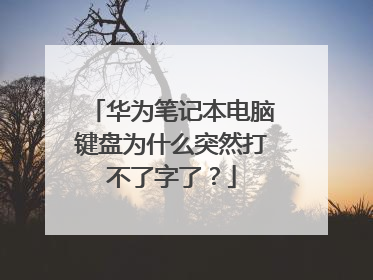 华为笔记本电脑键盘为什么突然打不了字了？