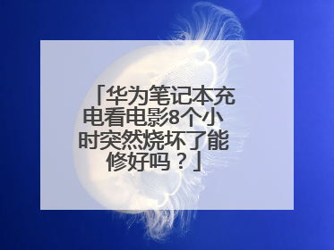 华为笔记本充电看电影8个小时突然烧坏了能修好吗?