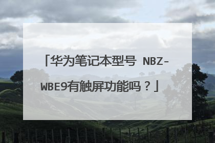 华为笔记本型号 NBZ-WBE9有触屏功能吗?