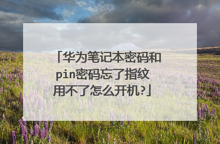 华为笔记本密码和pin密码忘了指纹用不了怎么开机?