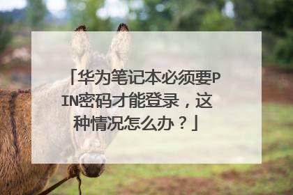 华为笔记本必须要PIN密码才能登录,这种情况怎么办?