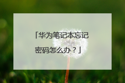 华为笔记本忘记密码怎么办？