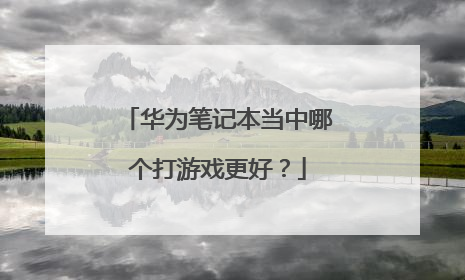 华为笔记本当中哪个打游戏更好？