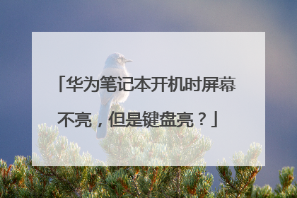 华为笔记本开机时屏幕不亮,但是键盘亮?