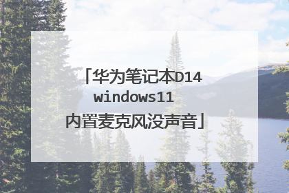 华为笔记本D14windows11内置麦克风没声音