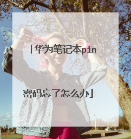华为笔记本pin密码忘了怎么办