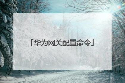华为网关配置命令