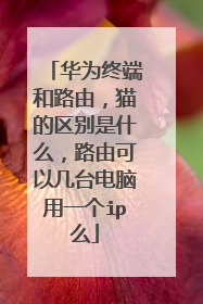 华为终端和路由，猫的区别是什么，路由可以几台电脑用一个ip么