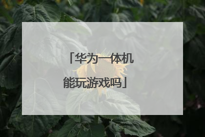 华为一体机能玩游戏吗