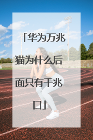 华为万兆猫为什么后面只有千兆口