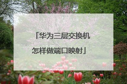 华为三层交换机怎样做端口映射