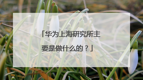 华为上海研究所主要是做什么的?