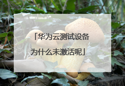 华为云测试设备为什么未激活呢