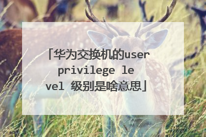 华为交换机的user privilege level 级别是啥意思